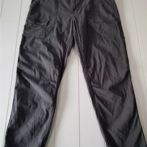 The wanderer grey cargo pants 31 Anthropologie